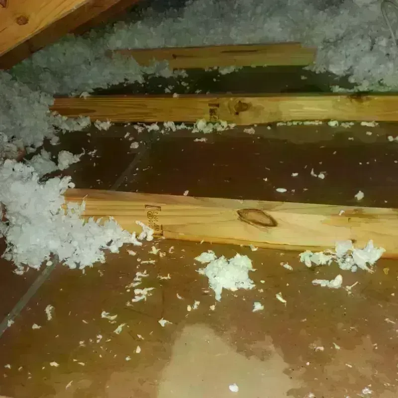 Attic Water Damage in Carrizozo, NM