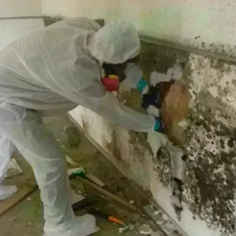 Mold Remediation and Removal in Carrizozo, NM